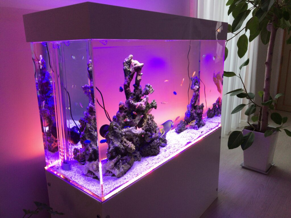 一般家庭 - 坪庭風キューブ