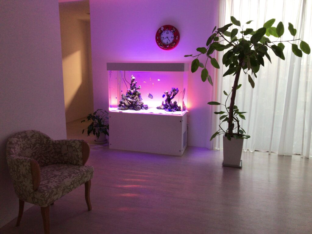 ご自宅 - 小型淡水水草水槽