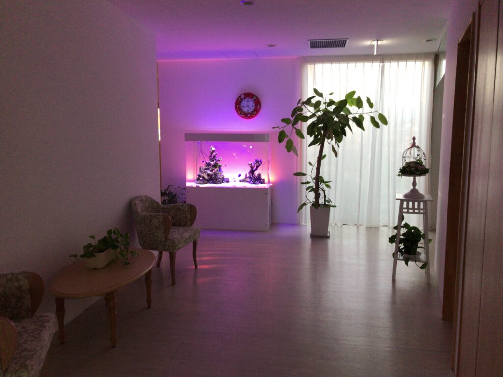 一般家庭 - オープンアクアリウム