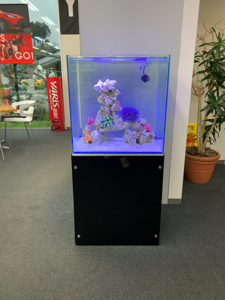 ご自宅 - キューブ型海水水槽