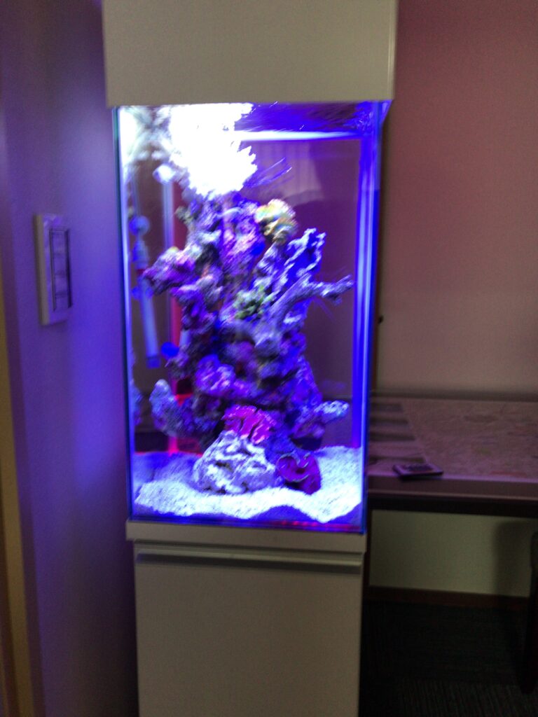 モデルルーム - LDK間仕切り