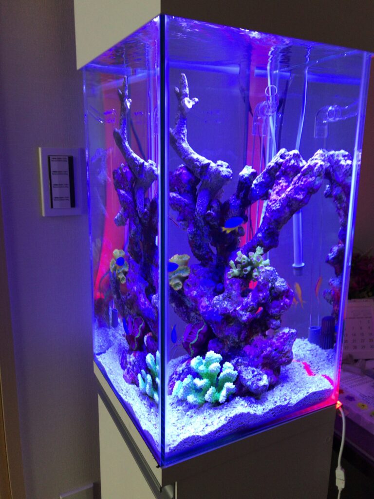 モデルルーム - ソファ背面