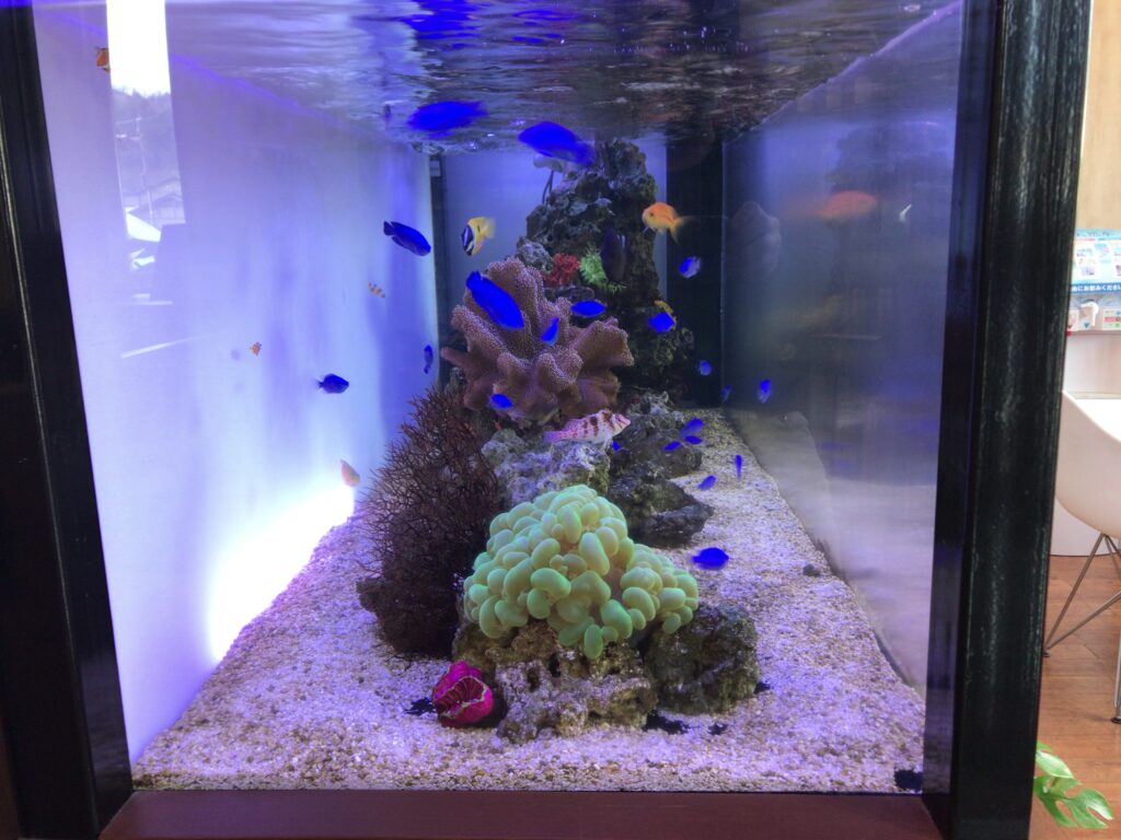 モデルルーム - 壁面収納埋め込み