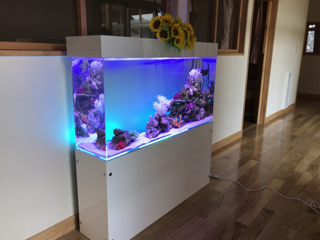 介護福祉施設 - 大型海水水槽