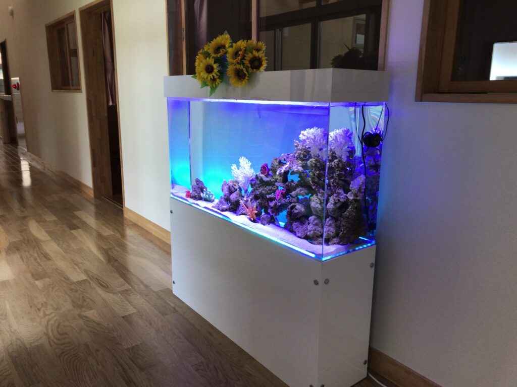 鍼灸院 - 大型海水水槽