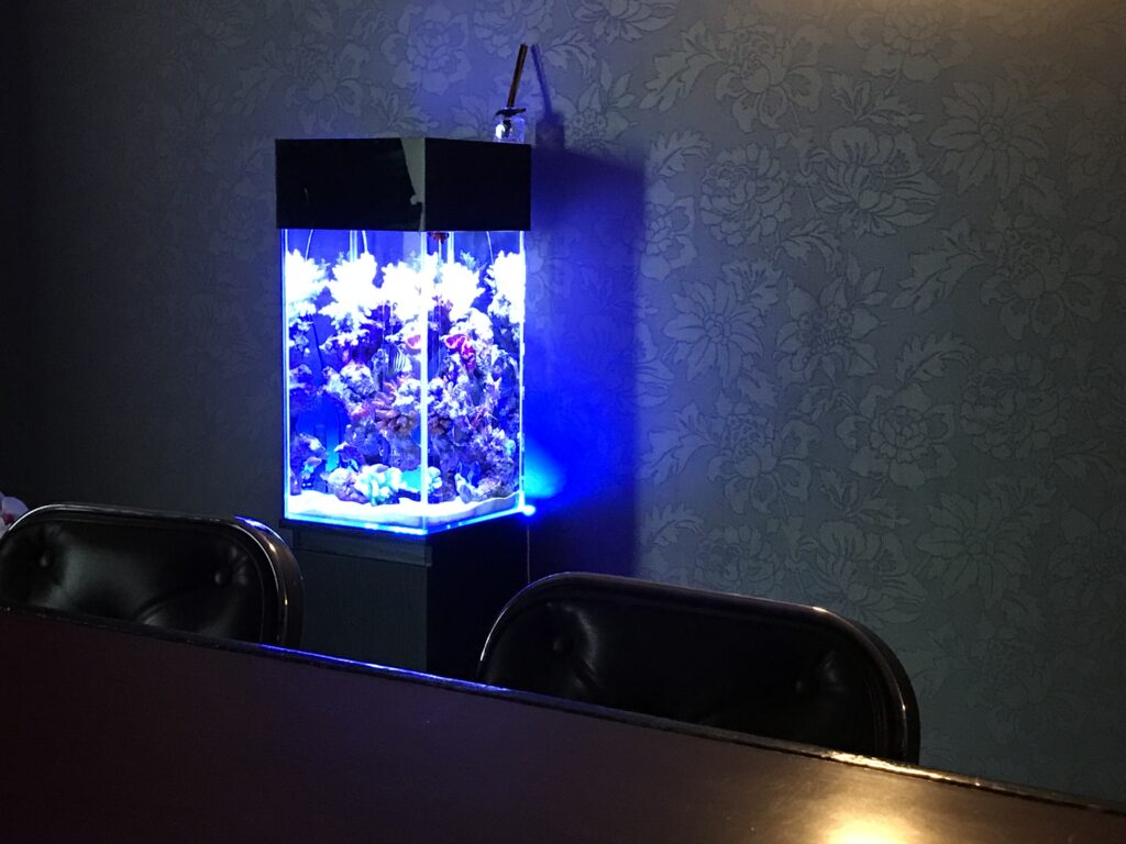 美容院 - 壁面埋め込み海水水槽