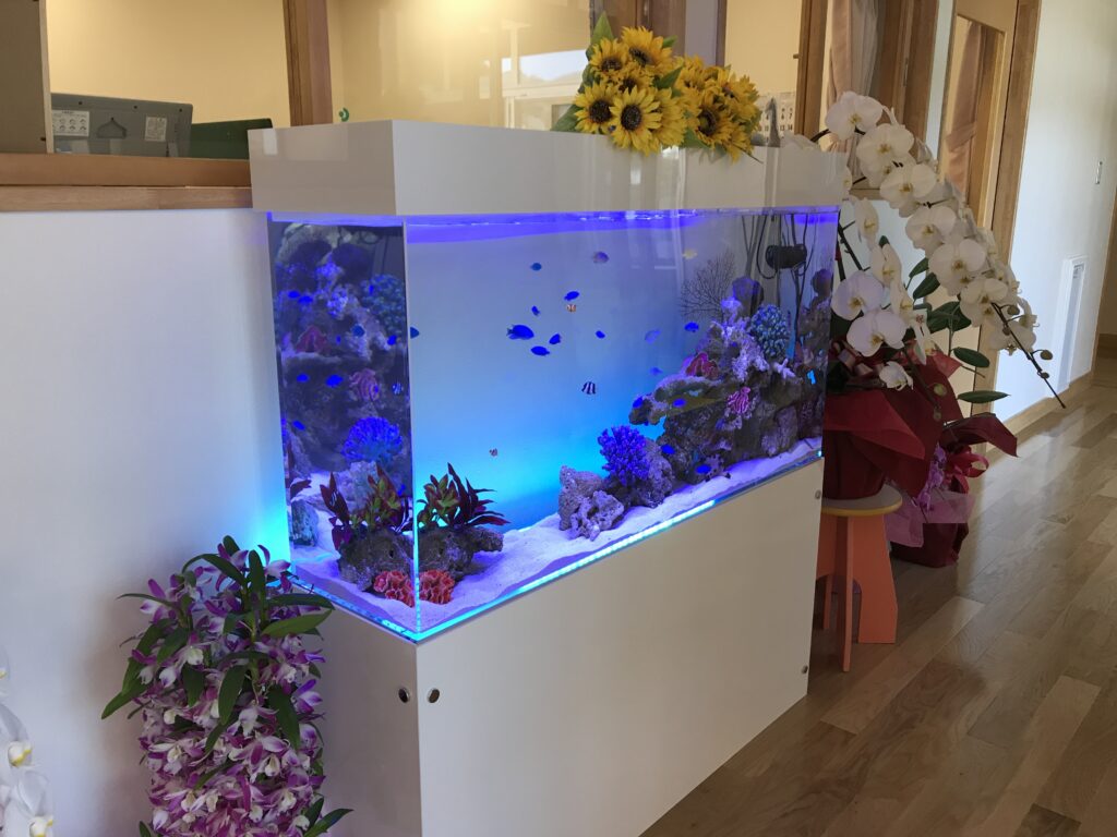 モデルルーム - 棚全体