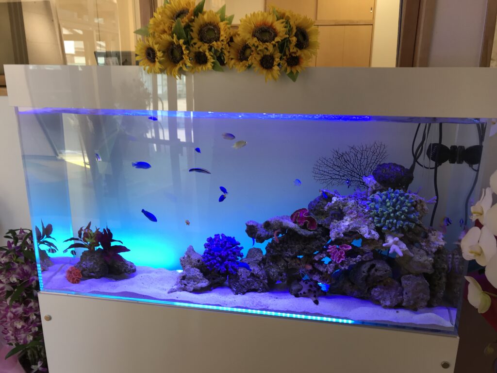 リラクゼーションサロン - エントランス