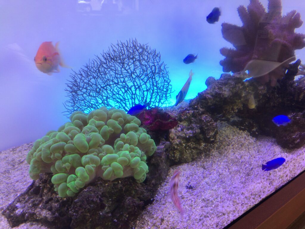 リラクゼーションサロン - 壁面埋め込み