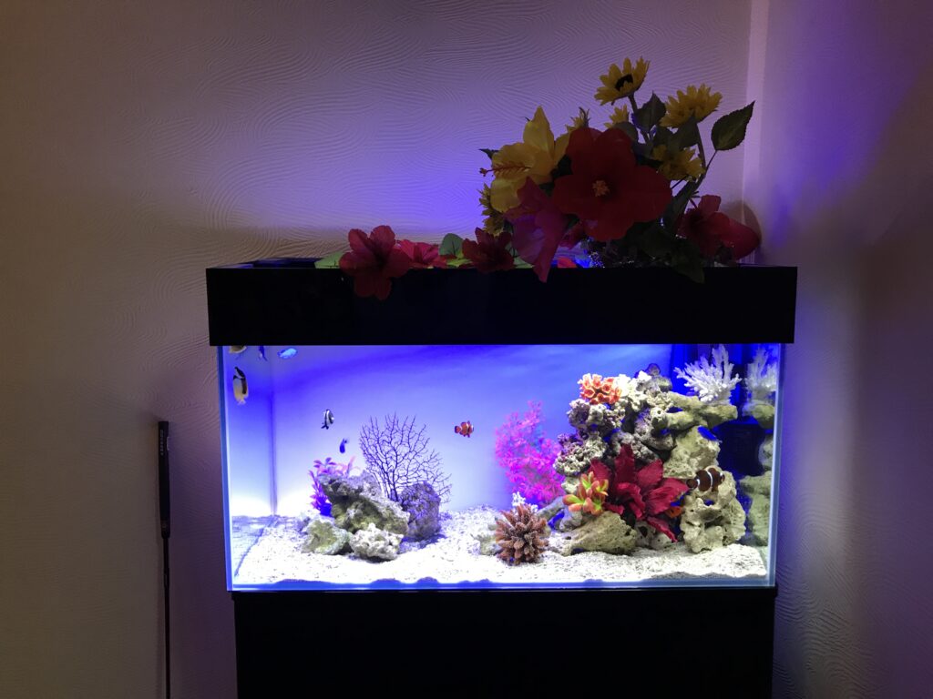 飲食店Bar - 海水水槽＋造花