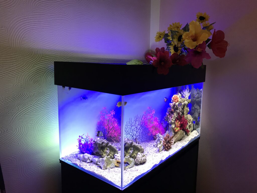 飲食店カフェ設置