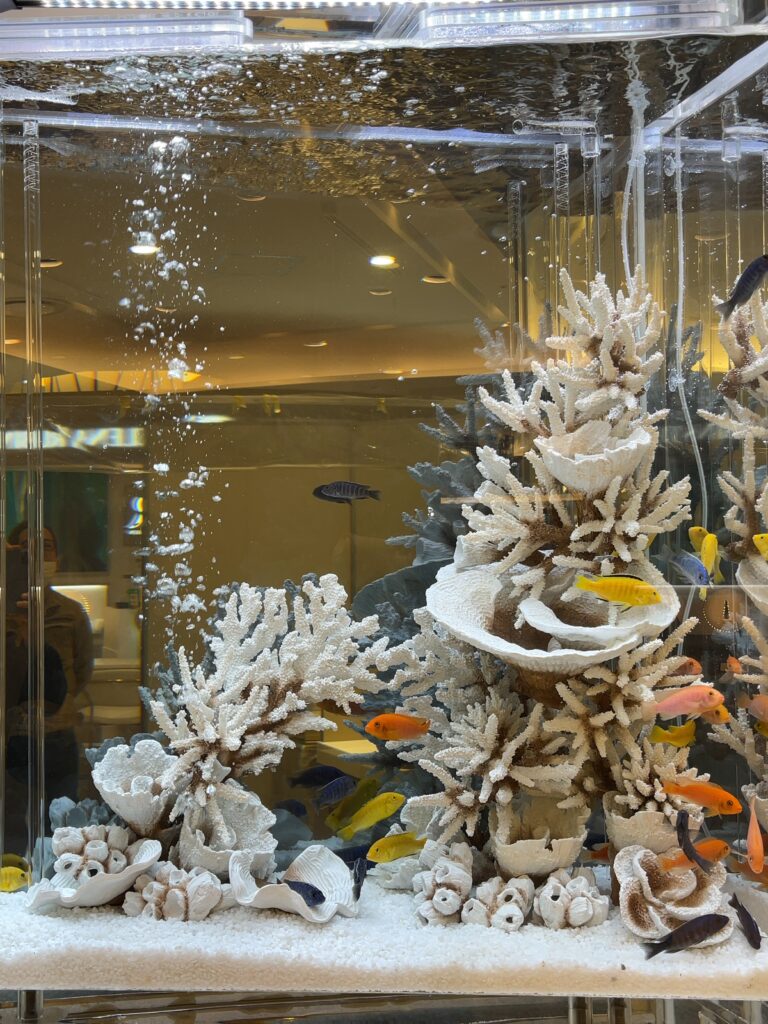 飲食店Bar - タワー水槽