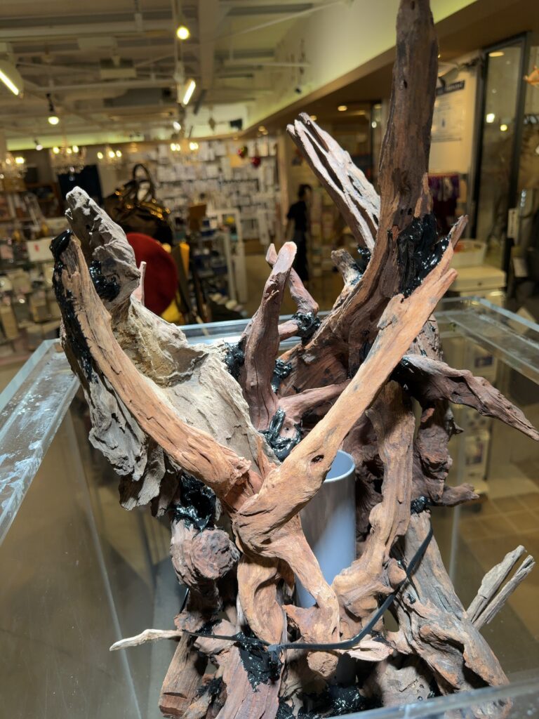 サンゴ水槽 - 縦型SPS主体